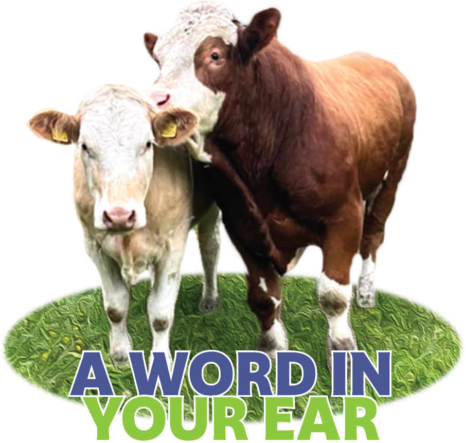 a word in your ear